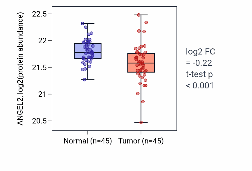 Tumor-vs-normal mass-spec protein box plot for ANGEL2 in HNSC.