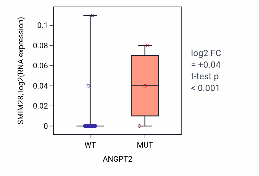 Box plot of SMIM28 in ANGPT2-low vs ANGPT2-high samples in LUNG_NSCLC_LUAD.