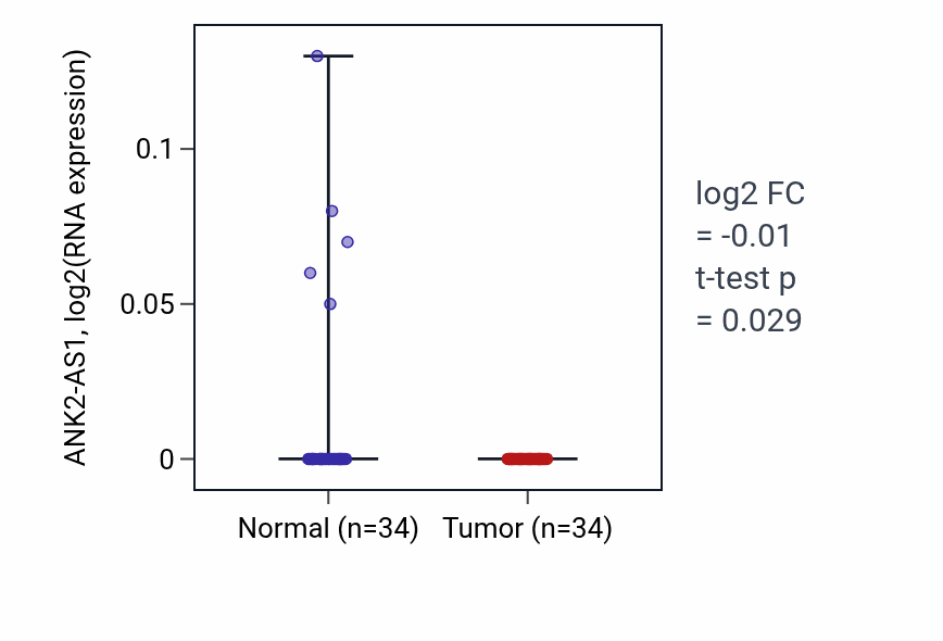 Tumor-vs-normal expression box plot for ANK2-AS1 in COAD.