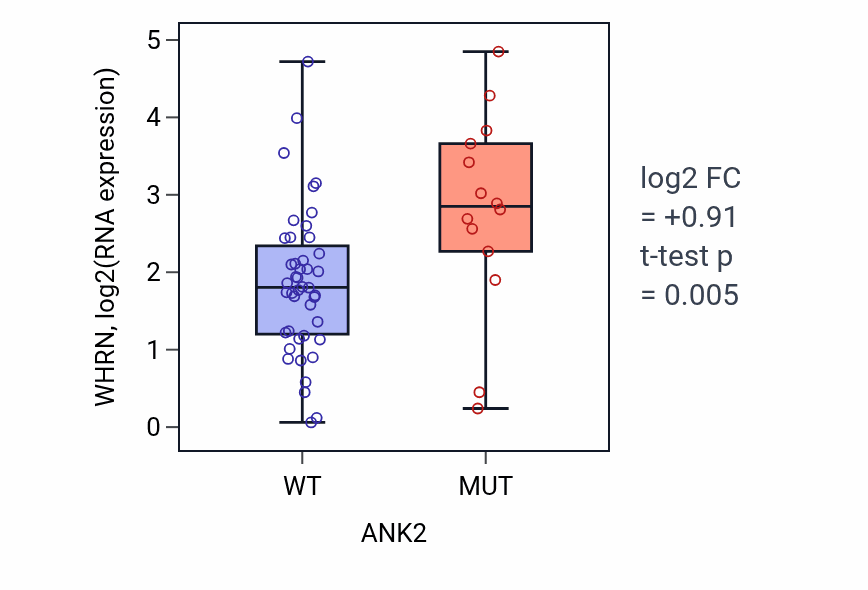 Box plot of WHRN in ANK2-low vs ANK2-high samples in OVARY.