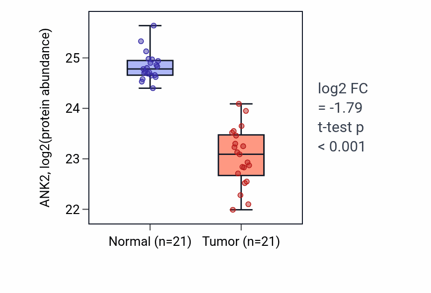 Tumor-vs-normal mass-spec protein box plot for ANK2 in HNSC.