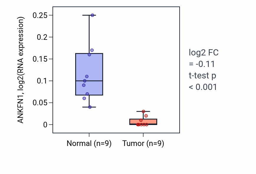 Tumor-vs-normal expression box plot for ANKFN1 in THCA.