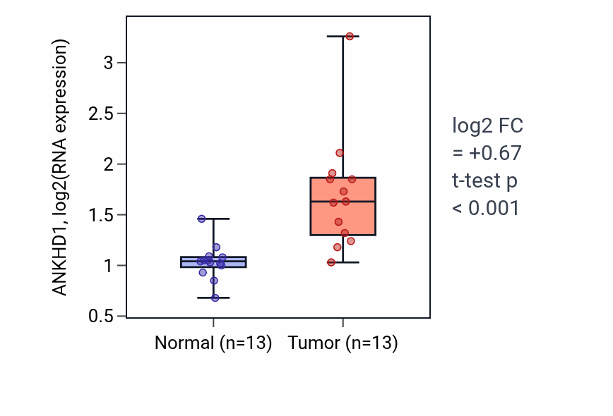 Tumor-vs-normal expression box plot for ANKHD1 RNA in KIRC.