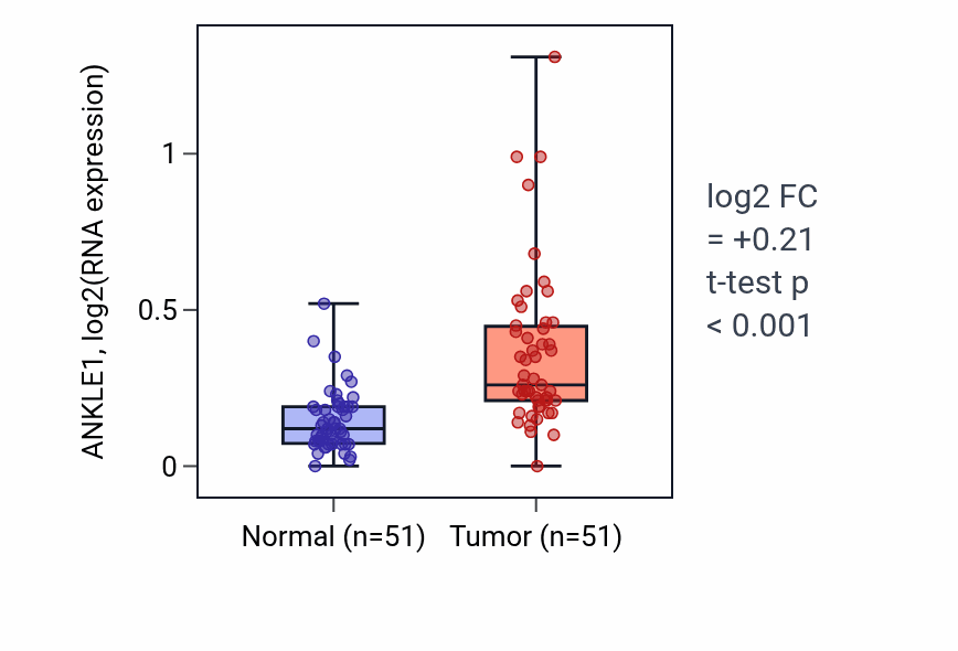 Tumor-vs-normal expression box plot for ANKLE1 in KIRC.