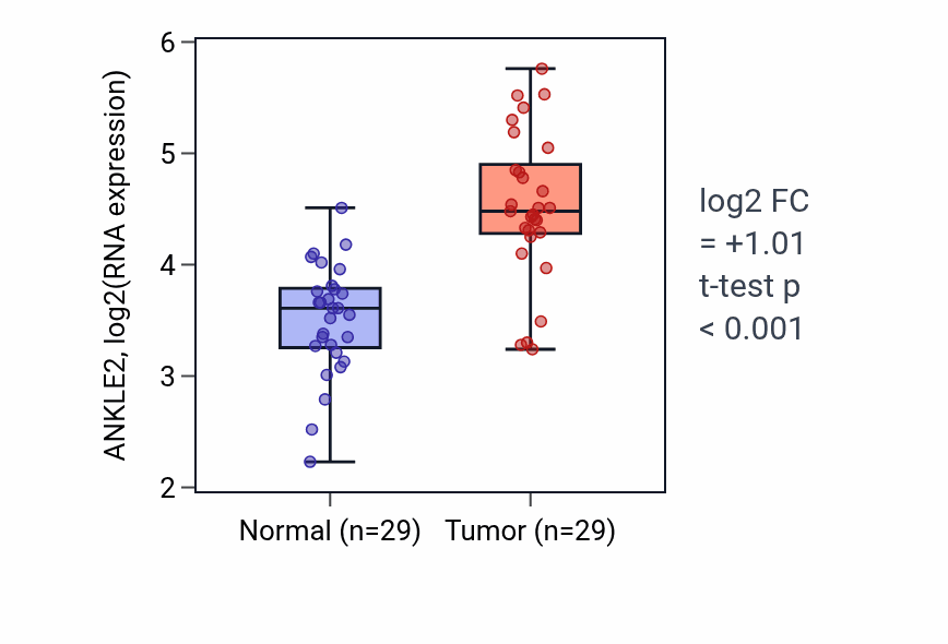 Tumor-vs-normal expression box plot for ANKLE2 in HNSC.