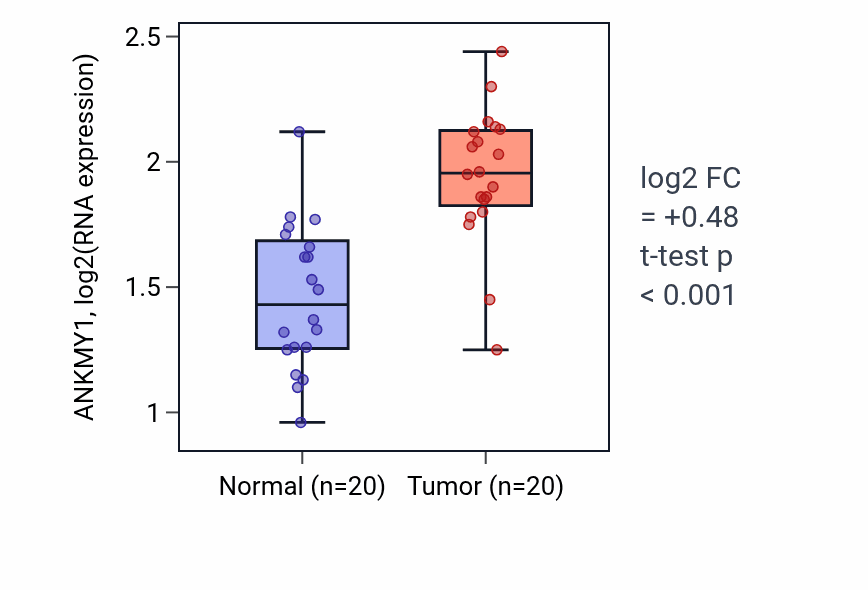 Tumor-vs-normal expression box plot for ANKMY1 in KIRC.