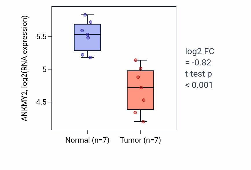Tumor-vs-normal expression box plot for ANKMY2 in THCA.
