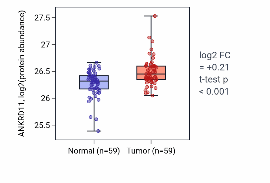 Tumor-vs-normal mass-spec protein box plot for ANKRD11 in LSCC.