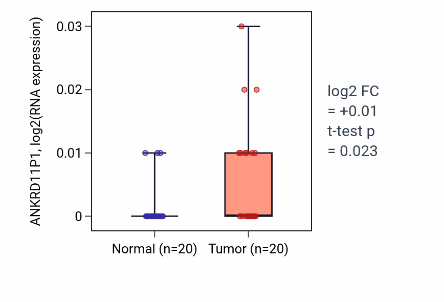 Tumor-vs-normal expression box plot for ANKRD11P1 in KIRC.