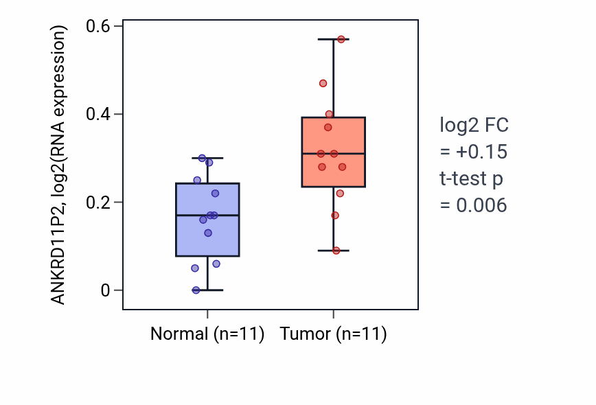 Tumor-vs-normal expression box plot for ANKRD11P2 in HNSC.
