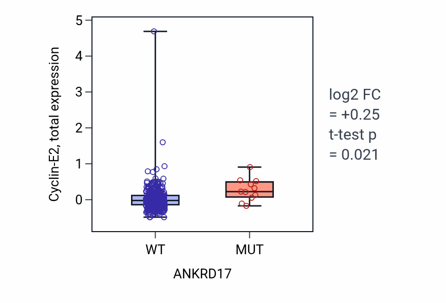 Box plot of Cyclin-E2 in ANKRD17-low vs ANKRD17-high samples in COAD.