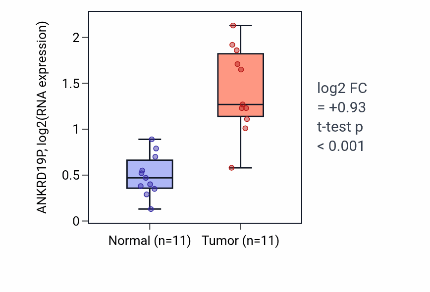 Tumor-vs-normal expression box plot for ANKRD19P in HNSC.