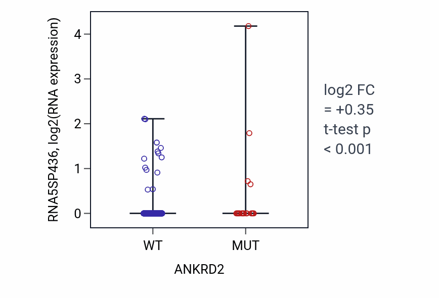 Box plot of RNA5SP436 in ANKRD2-low vs ANKRD2-high samples in UCEC.