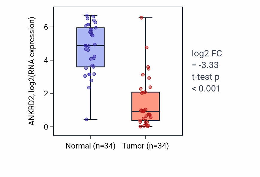 Tumor-vs-normal expression box plot for ANKRD2 RNA in KIRC.