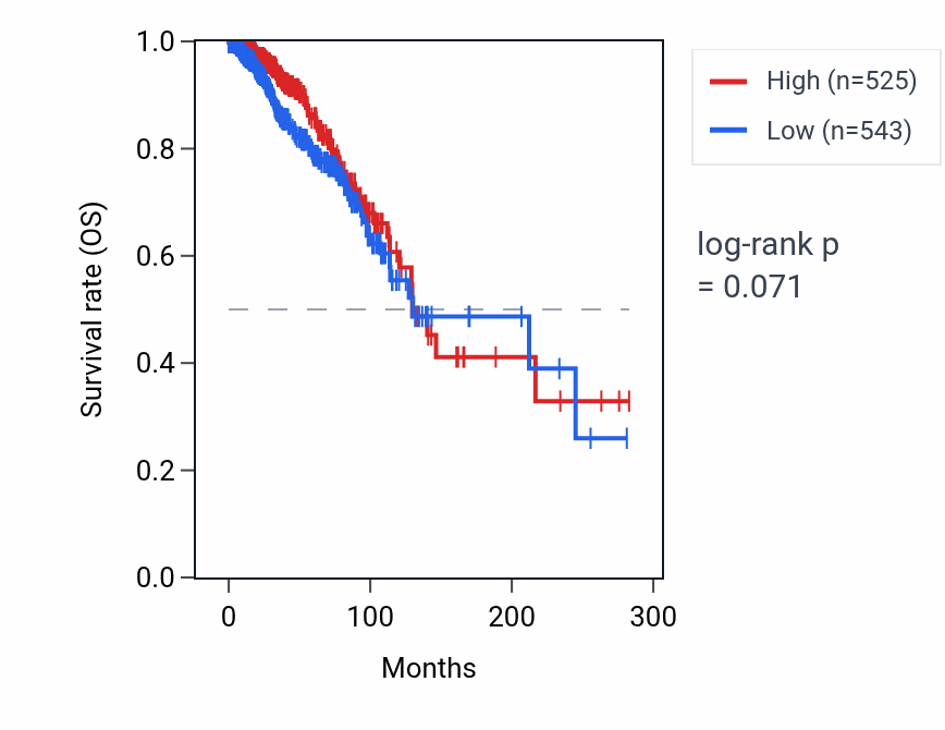 Kaplan&ndash;Meier survival curve for ANKRD20A11P RNA expression in BRCA: high vs low expression groups.