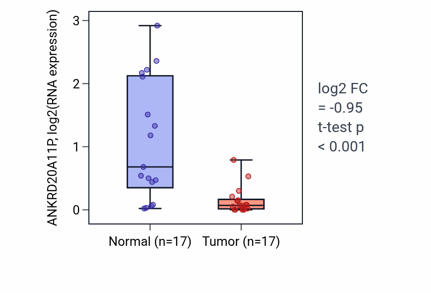 Tumor-vs-normal expression box plot for ANKRD20A11P in HNSC.