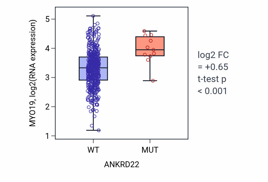 Box plot of MYO19 in ANKRD22-low vs ANKRD22-high samples in SKCM.