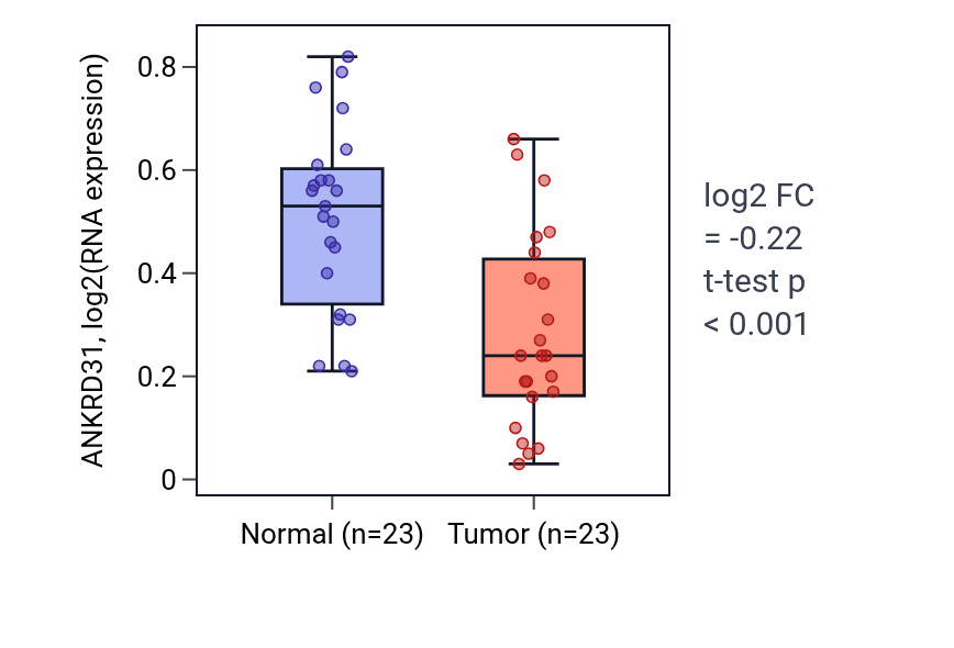 Tumor-vs-normal expression box plot for ANKRD31 in THCA.