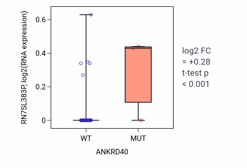 Box plot of RN7SL383P in ANKRD40-low vs ANKRD40-high samples in GBM.