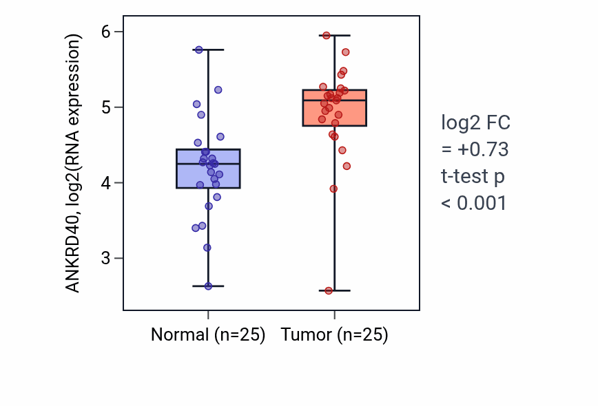 Tumor-vs-normal expression box plot for ANKRD40 in HNSC.