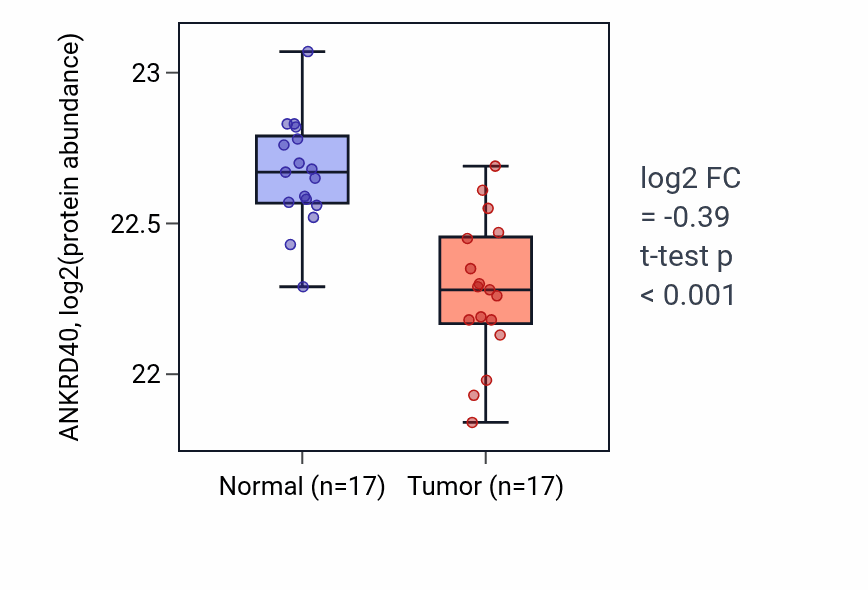 Tumor-vs-normal mass-spec protein box plot for ANKRD40 in LSCC.
