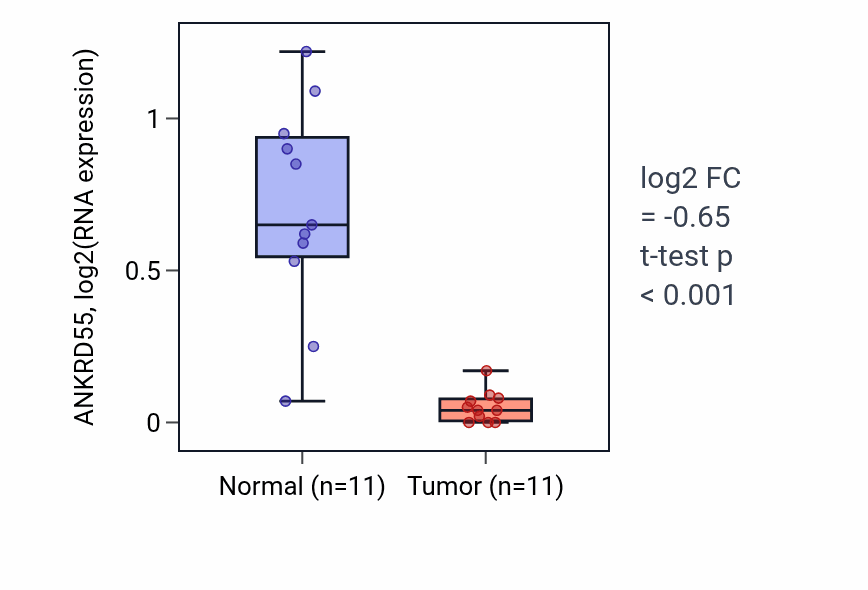 Tumor-vs-normal expression box plot for ANKRD55 in KICH.