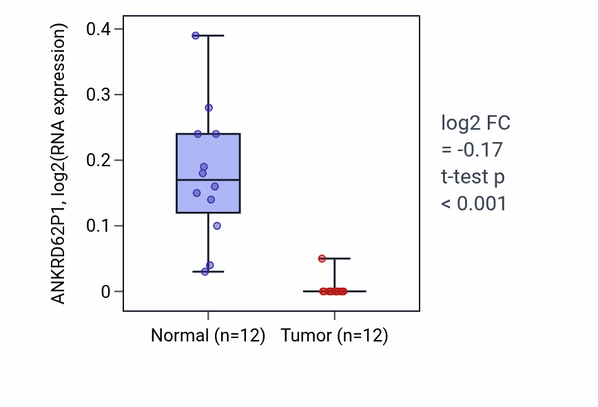 Tumor-vs-normal expression box plot for ANKRD62P1 in KIRC.