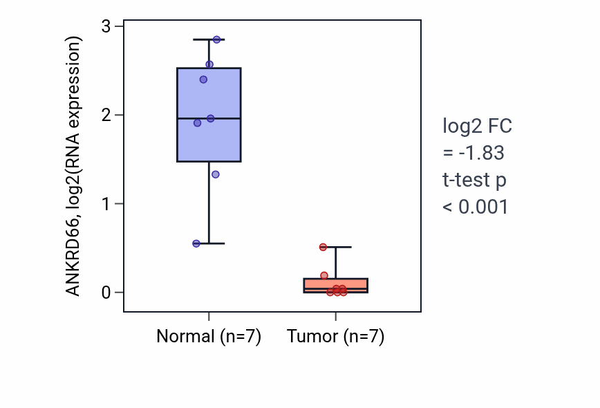 Tumor-vs-normal expression box plot for ANKRD66 in LUSC.