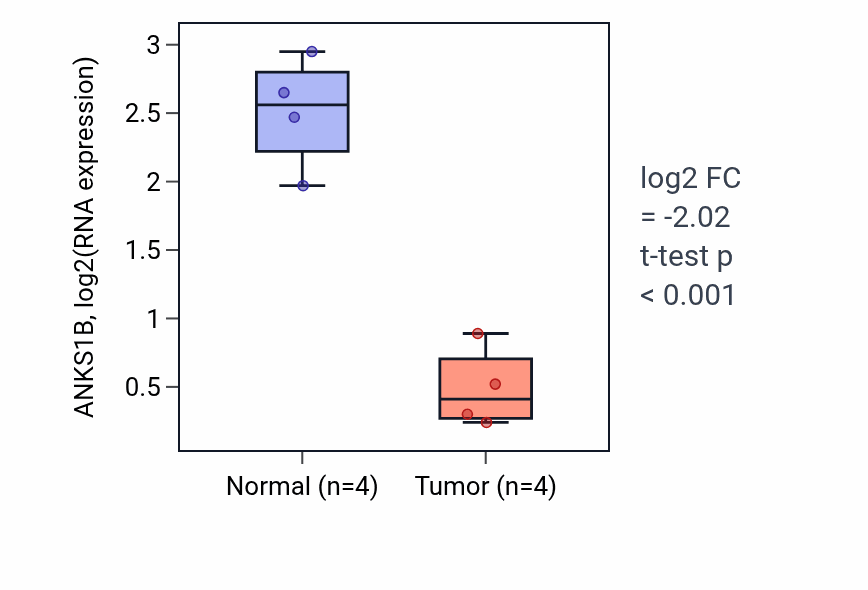Tumor-vs-normal expression box plot for ANKS1B in THCA.