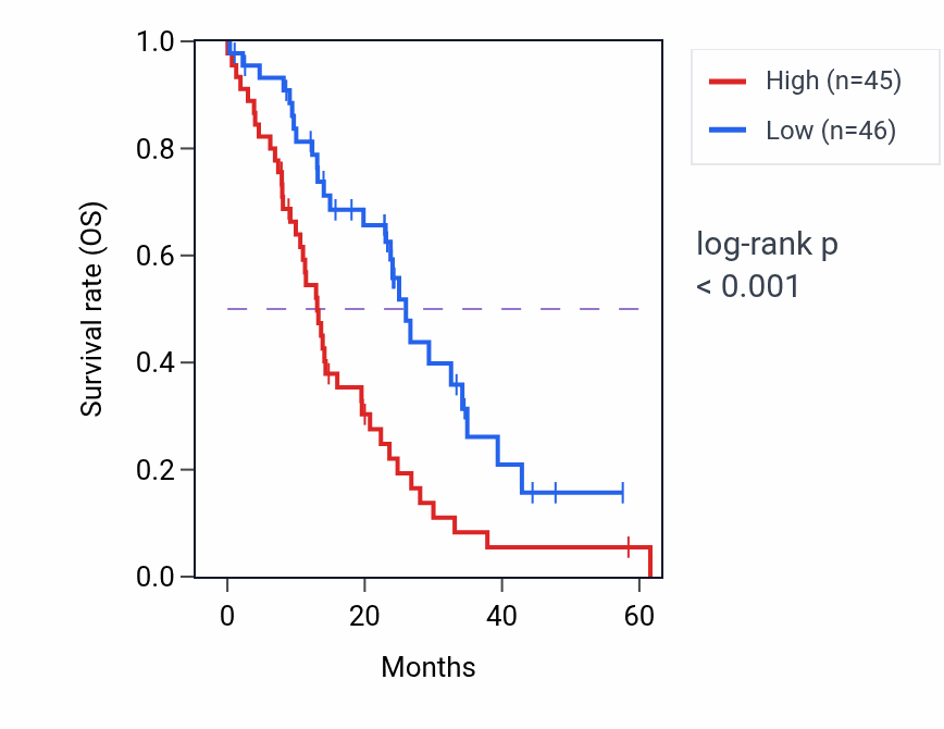 Kaplan&ndash;Meier survival curve for ANLN mass-spec protein-high vs -low samples in PDAC.