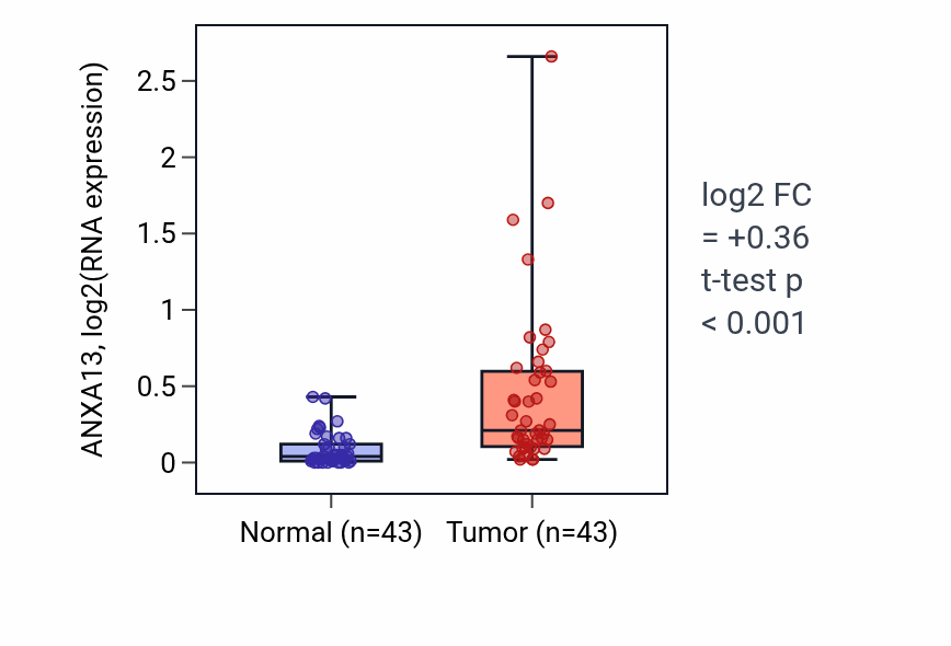 Tumor-vs-normal expression box plot for ANXA13 in HNSC.