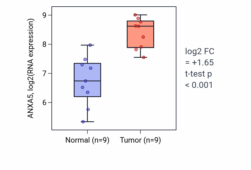Tumor-vs-normal expression box plot for ANXA5 in HNSC.