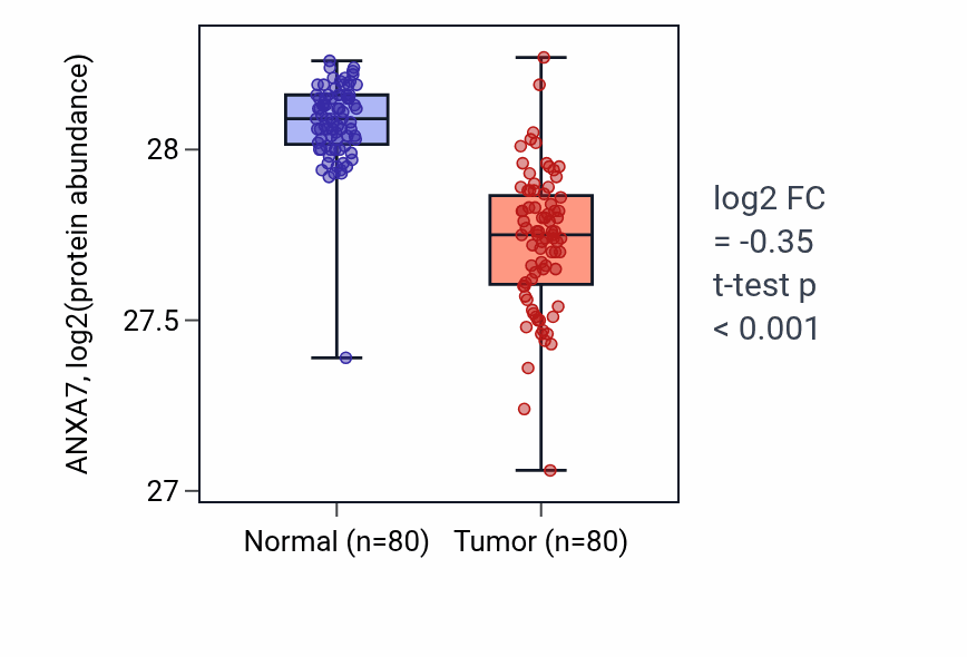 Tumor-vs-normal mass-spec protein box plot for ANXA7 in CCRCC.
