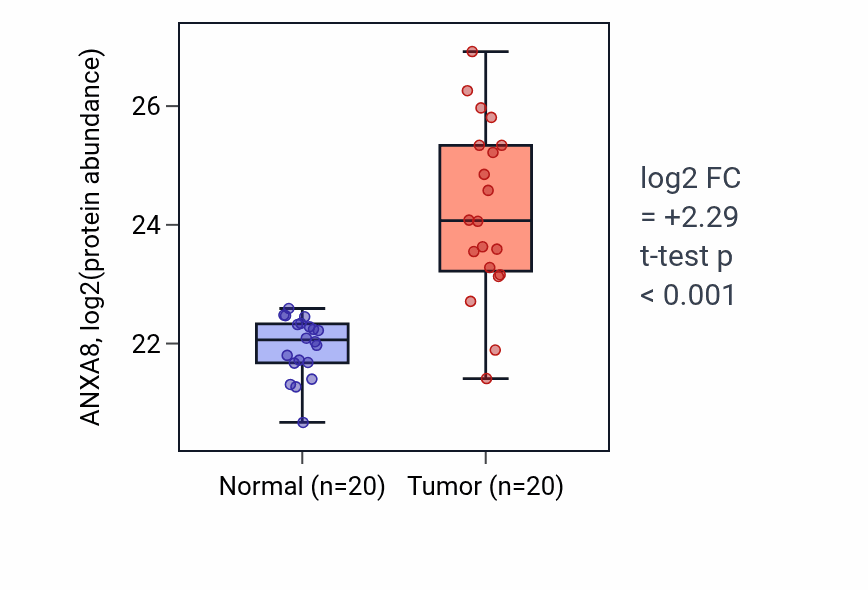 Tumor-vs-normal mass-spec protein box plot for ANXA8 in LSCC.