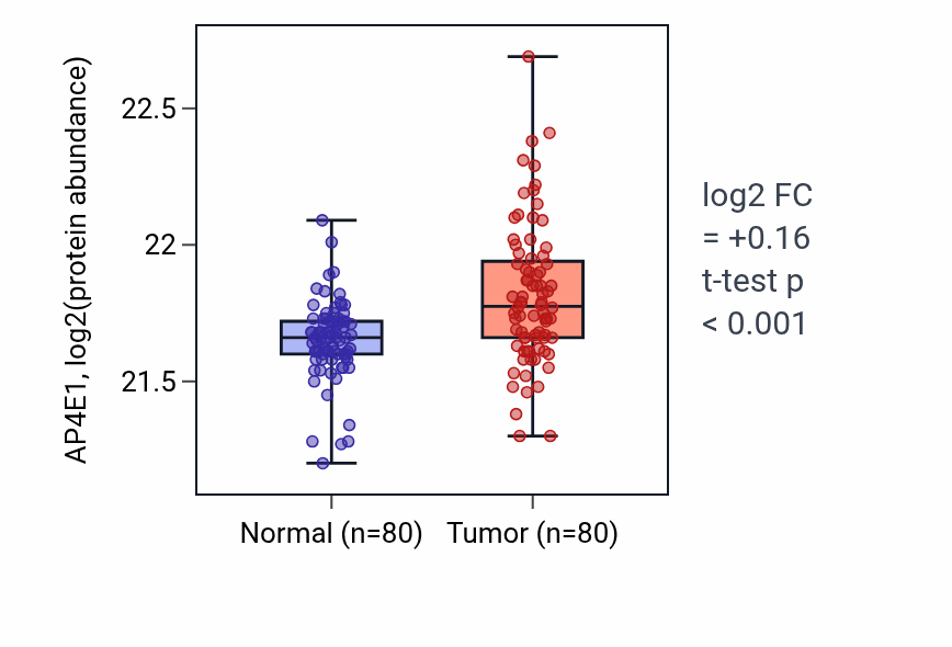 Tumor-vs-normal mass-spec protein box plot for AP4E1 in CCRCC.