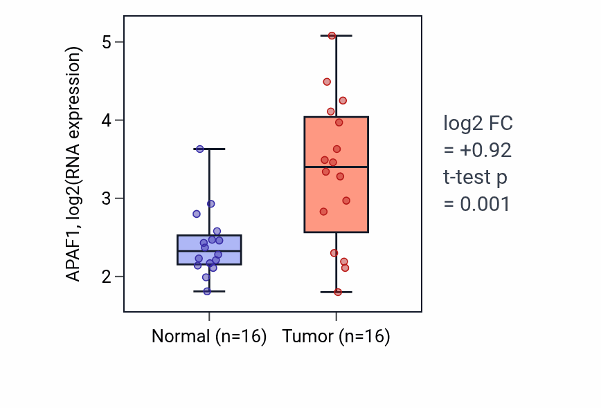Tumor-vs-normal expression box plot for APAF1 in KIRP.