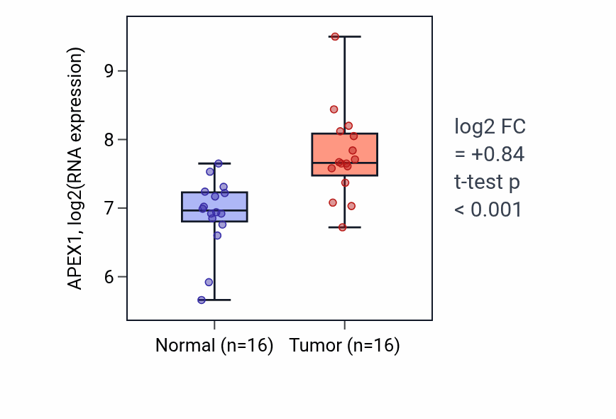 Tumor-vs-normal expression box plot for APEX1 RNA in HNSC.