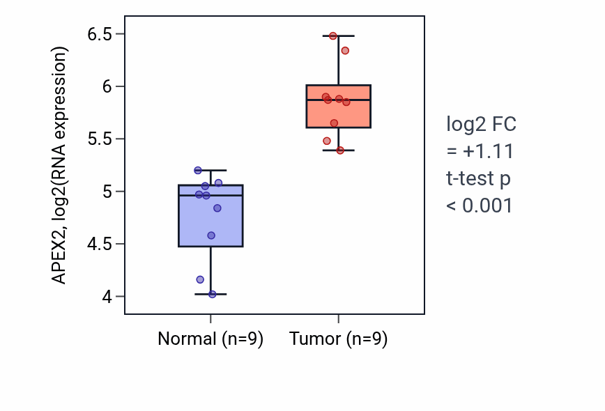 Tumor-vs-normal expression box plot for APEX2 in HNSC.