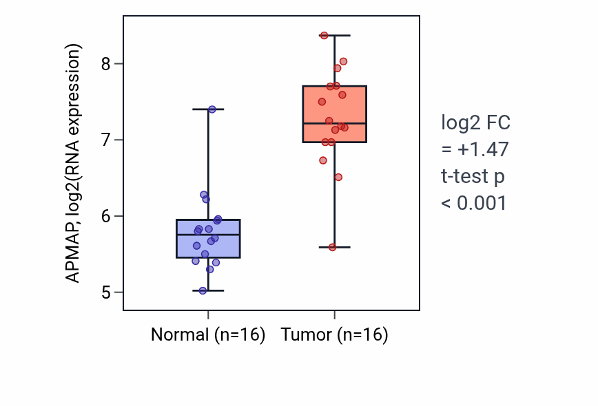Tumor-vs-normal expression box plot for APMAP in HNSC.