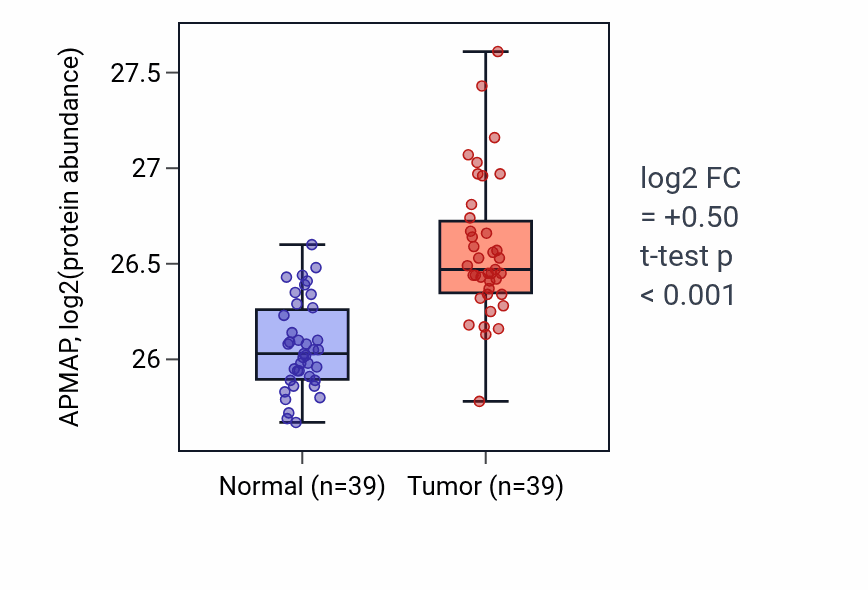 Tumor-vs-normal mass-spec protein box plot for APMAP in HNSC.