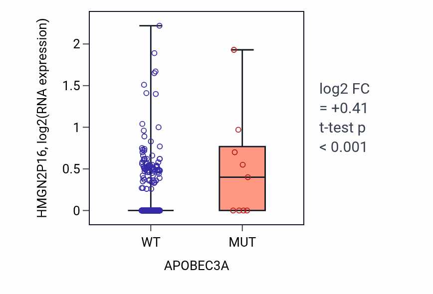 Box plot of HMGN2P16 in APOBEC3A-low vs APOBEC3A-high samples in UCEC.