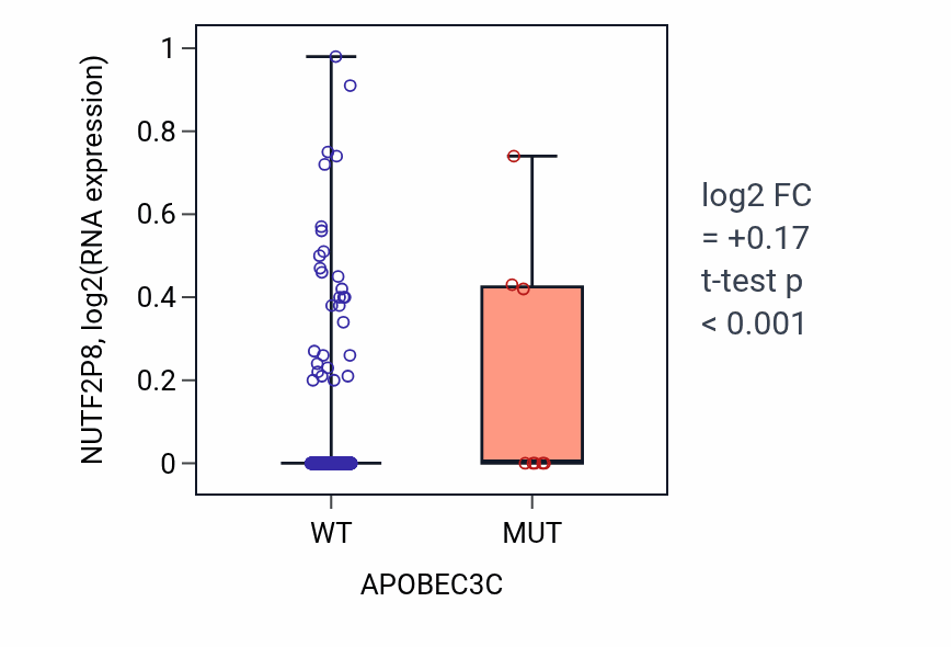 Box plot of NUTF2P8 in APOBEC3C-low vs APOBEC3C-high samples in UCEC.