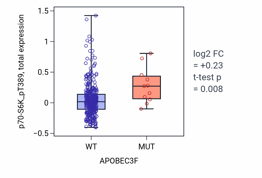 Box plot of p70-S6K_pT389 in APOBEC3F-low vs APOBEC3F-high samples in SKCM.