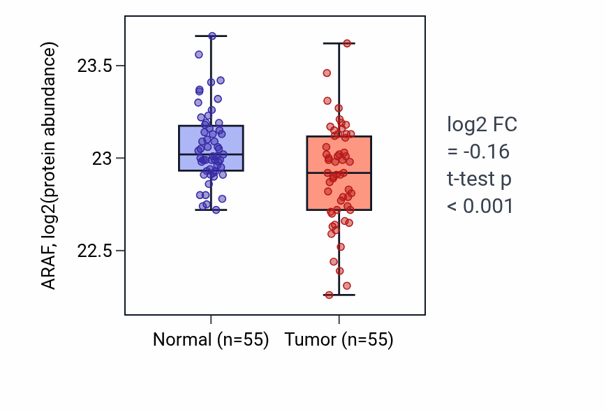 Tumor-vs-normal mass-spec protein box plot for ARAF in COAD.
