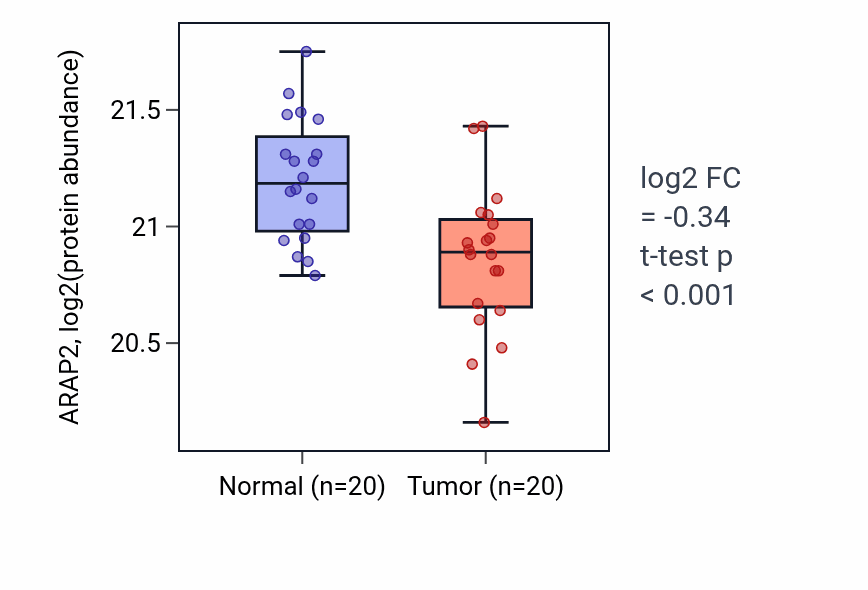 Tumor-vs-normal mass-spec protein box plot for ARAP2 in HNSC.