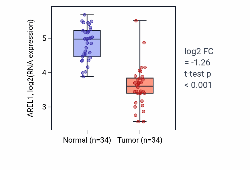 Tumor-vs-normal expression box plot for AREL1 in KIRC.