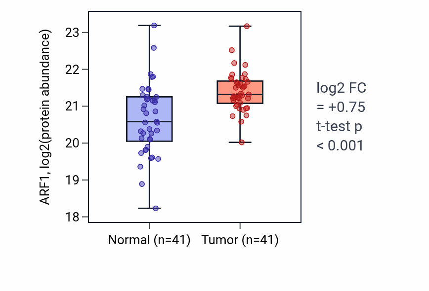 Tumor-vs-normal mass-spec protein box plot for ARF1 in PDAC.