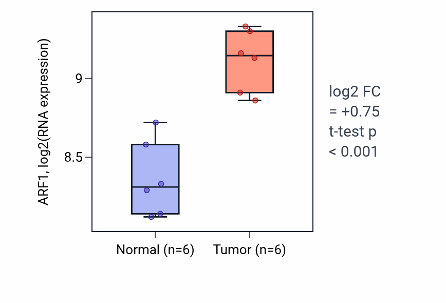 Tumor-vs-normal expression box plot for ARF1 RNA in KIRC.