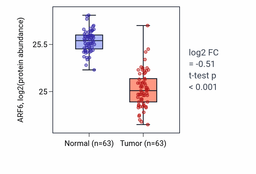 Tumor-vs-normal mass-spec protein box plot for ARF6 in CCRCC.