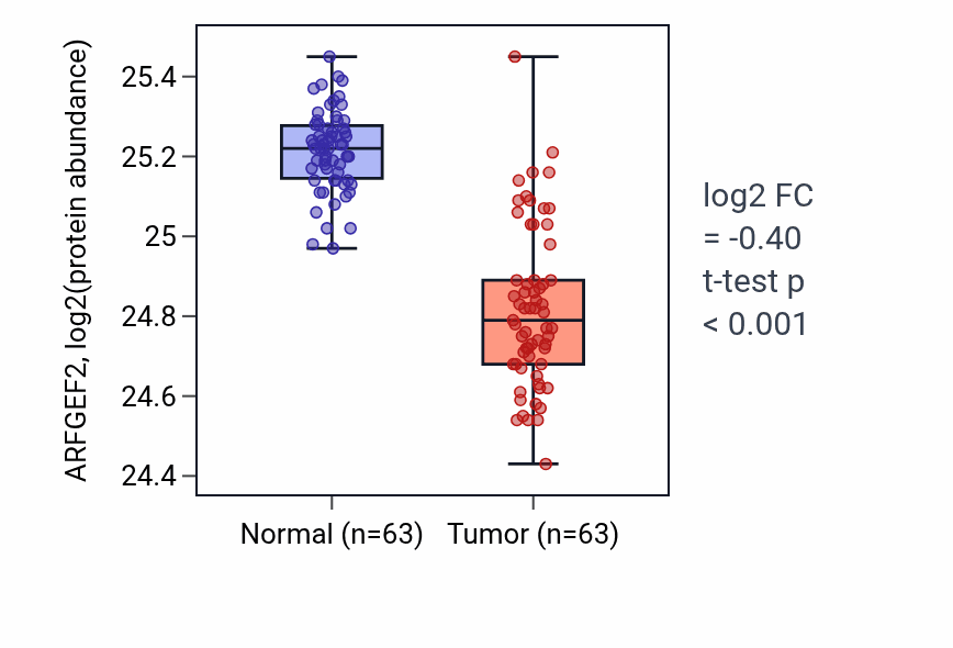 Tumor-vs-normal mass-spec protein box plot for ARFGEF2 in CCRCC.